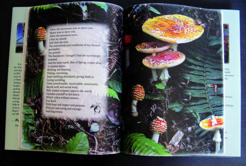 _LTDB mushroom page